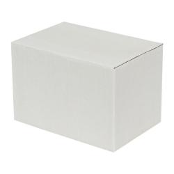 Carton Simple Cannelure 15x10x10 cm Blanc