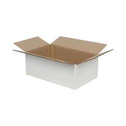 Carton Simple Cannelure 20x15x10 cm Blanc