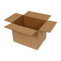 Carton Simple Cannelure 20x15x15 cm Brun