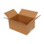 Carton Simple Cannelure 22x15x12 cm Brun