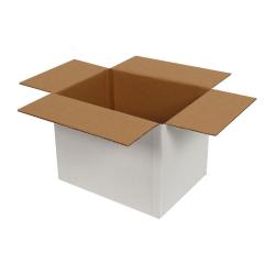 Carton Simple Cannelure 25x10x12 cm Blanc