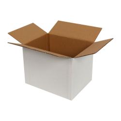Carton Simple Cannelure 25x10x12 cm Blanc