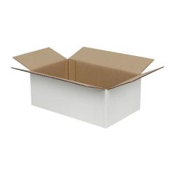 Carton Simple Cannelure 25x20x10 cm Blanc