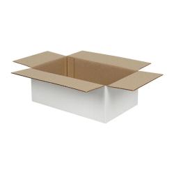 Carton Simple Cannelure 25x20x10 cm Blanc