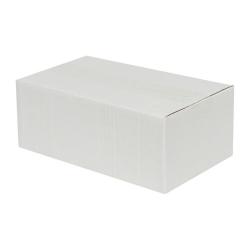 Carton Simple Cannelure 25x20x10 cm Blanc