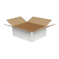 Carton Simple Cannelure 30x25x12 cm Blanc