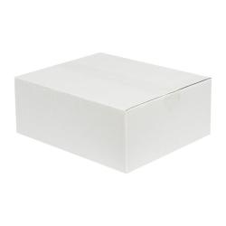 Carton Simple Cannelure 30x25x12 cm Blanc