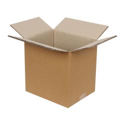 Carton Double Cannelure 25x20x25 cm Brun T01