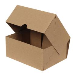 Boîte E-Commerce Carton 17x12,5x7,5 cm Brun T01