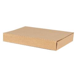 Boîtes pour Livres en Carton 26,5x20x4 cm Brune