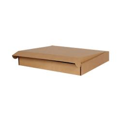Boîte Expédition Carton 77x54x8 cm Brune