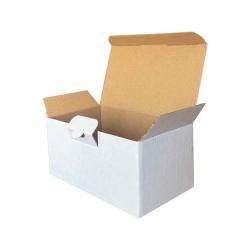 Boîtes Carton Montage Instantané 17,5x10x8,5 cm Blanc